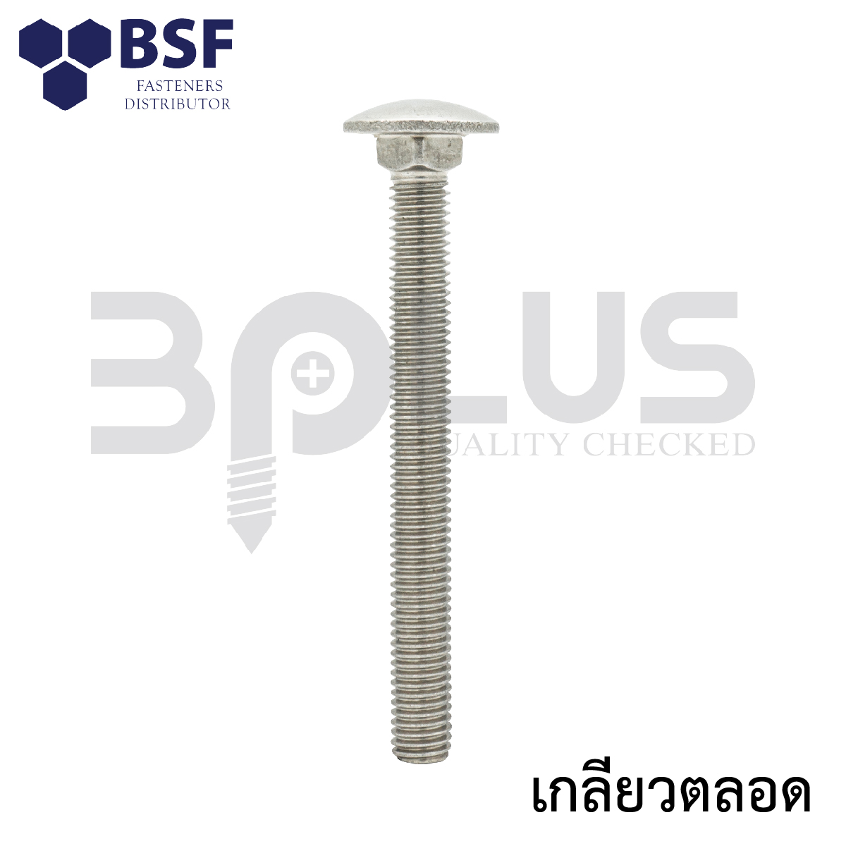 สกรูหัวกลมคอเหลี่ยมสแตนเลส M12 x 65